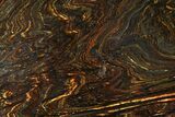 Polished Tiger Iron Stromatolite - ( Billion Years) #95916-1